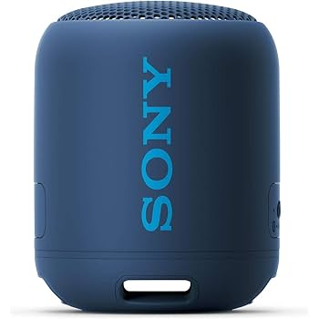 Amazon.co.jp: ソニー ワイヤレスポータブルスピーカー: 防水